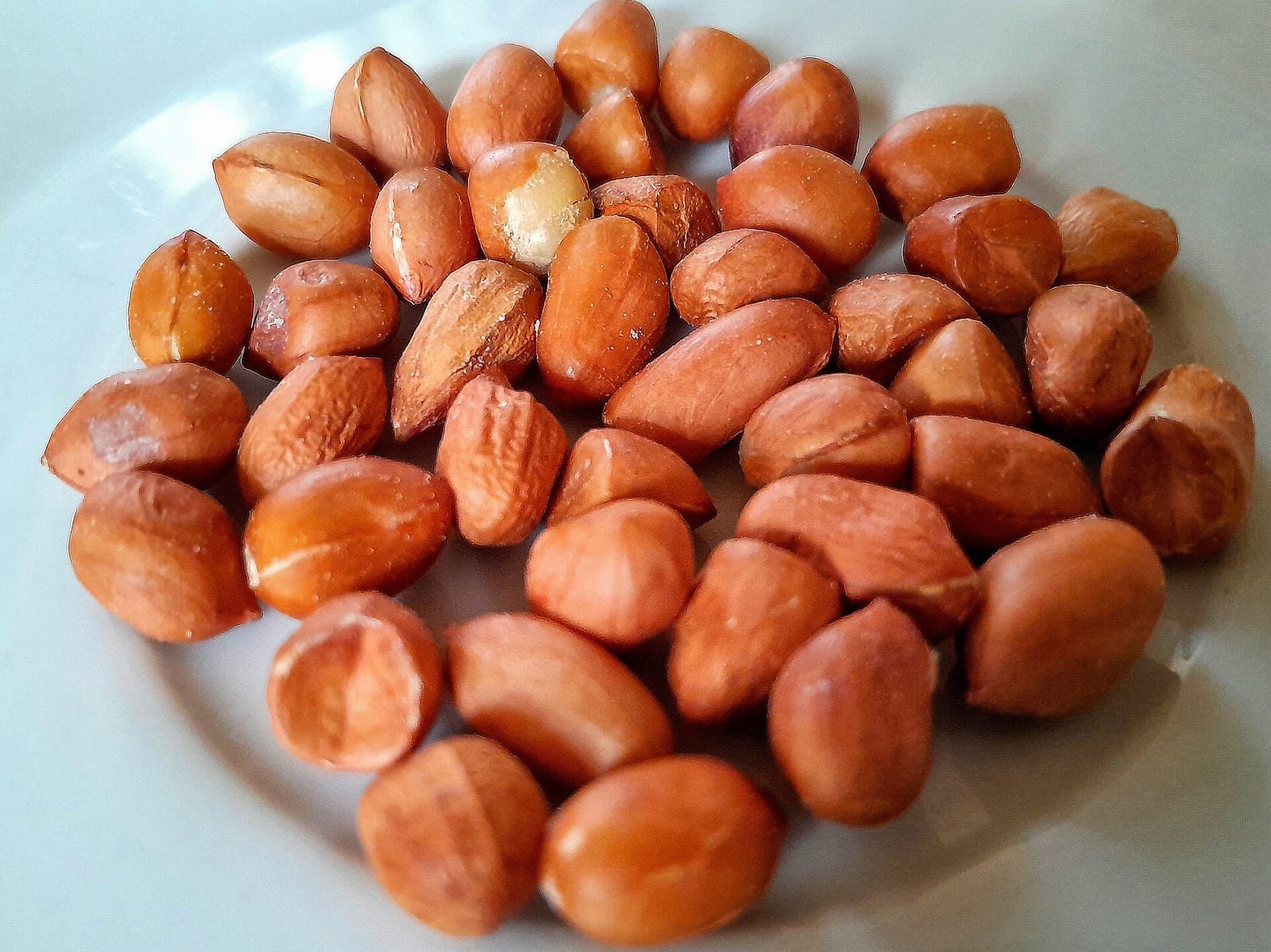 Lạc đỏ hạt nhỏ